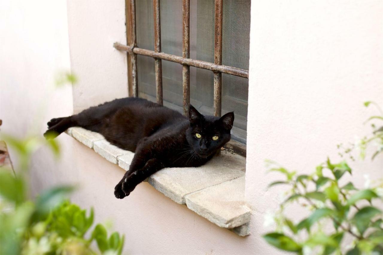 Al Guado Di Assisi B&B Bastia Umbra Dış mekan fotoğraf